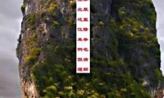 中国米兰体育-关于踏破铁鞋无觅处，选手巧夺金银铜的信息