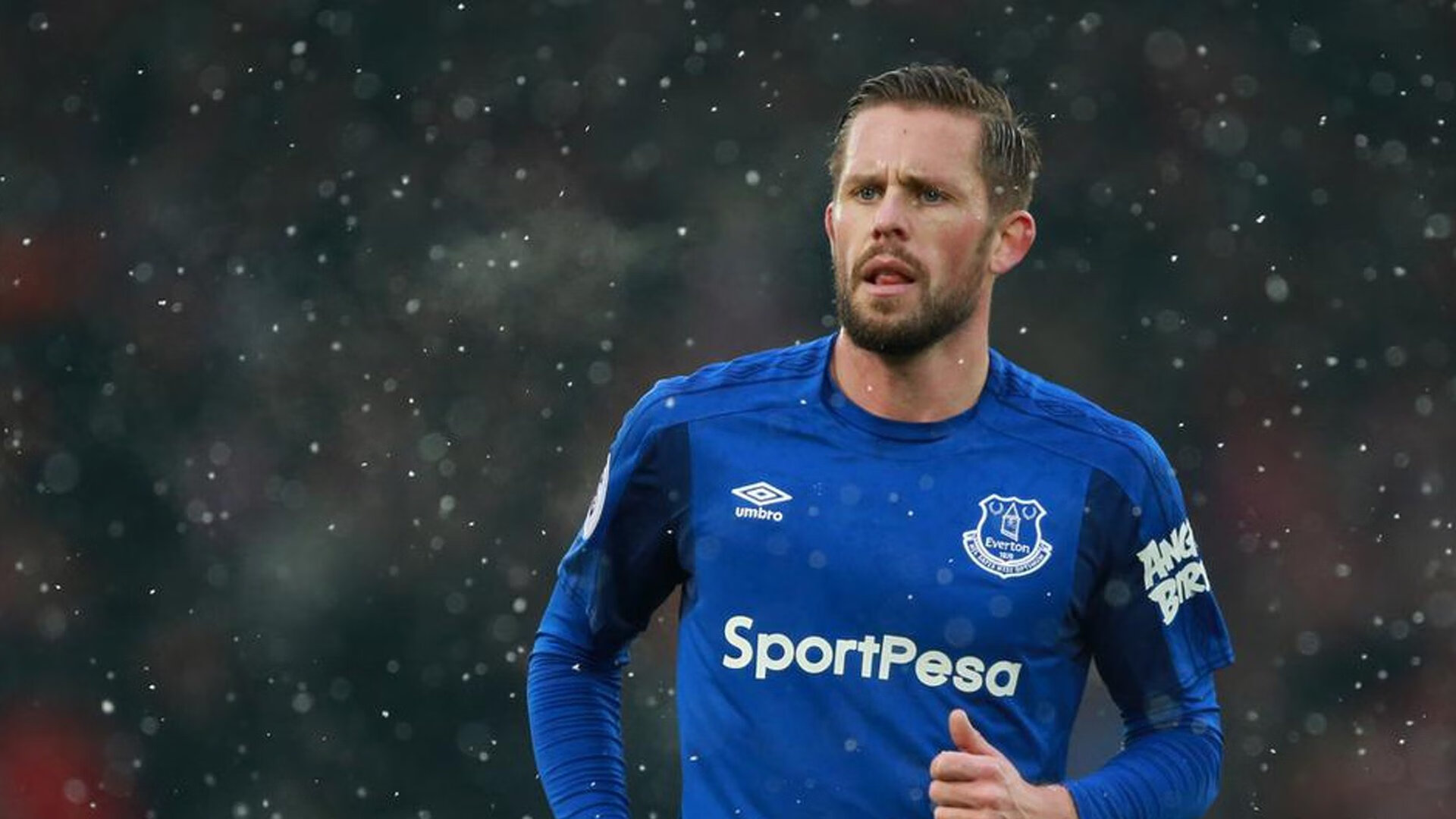 凯尔特人压制开拓者，范弗利特全场最佳无争议